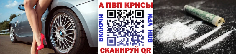 A-PVP СК КРИС  Шагонар 