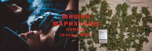 PSILOCYBIN Волосово