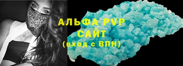 PSILOCYBIN Волосово