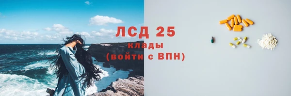 PSILOCYBIN Волосово