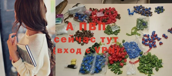 PSILOCYBIN Волосово