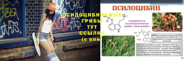 PSILOCYBIN Волосово