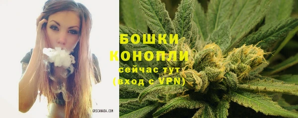 шишки Волоколамск