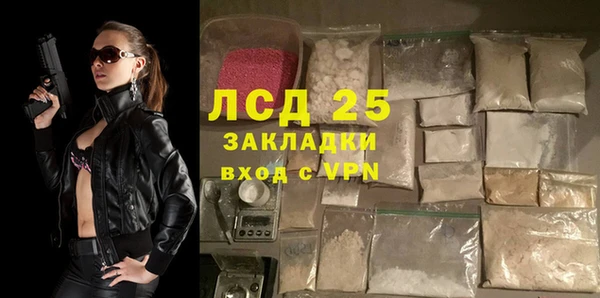 PSILOCYBIN Волосово