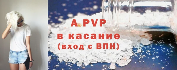 PSILOCYBIN Волосово