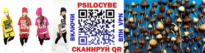 Псилоцибиновые грибы MAGIC MUSHROOMS  закладка  Шагонар 